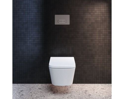 R0115AA OLEAS™ M1 Механическая панель смыва, хром R0115AA