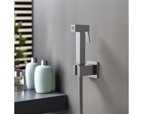 AQ2053CR гигиенический ручной душ со шлангом 120 см и держателем AQ2053CR