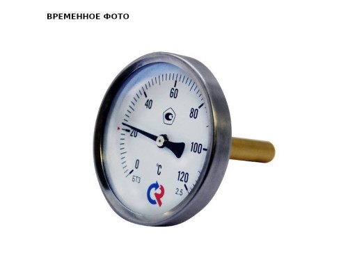 Термометр биметаллический радиальный Дк63 L64мм G1/2" 160С БТ-32.211