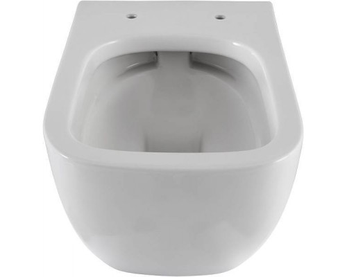 Allen Brau Infinity Унитаз подвесной, безободковый, 36x51x35h см, цвет: белый 4.21004.20