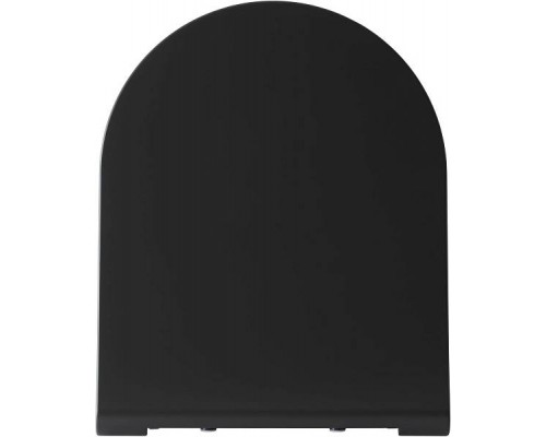 Allen Brau Priority Крышка-сиденье для унитаза 36x44x4,5h см, цвет: черный 4.31004.AN