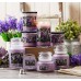 Декоративная свеча Village Candle Весенняя сирень (213 грамм)