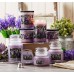 Декоративная свеча Village Candle Весенняя сирень (602 грамма)