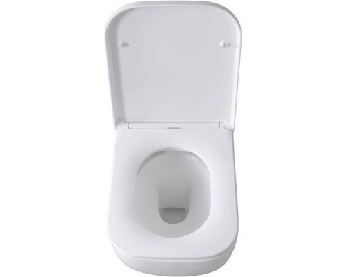 Allen Brau Infinity Унитаз подвесной, безободковый, 36x51x35h см, цвет: белый 4.21004.20