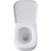 Allen Brau Infinity Унитаз подвесной, безободковый, 36x51x35h см, цвет: белый 4.21004.20