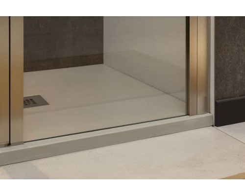 Allen Brau Priority Душевая дверь 120 см, цвет: серебро браш 3.31008.BA