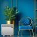 Solaris KIP4550E10