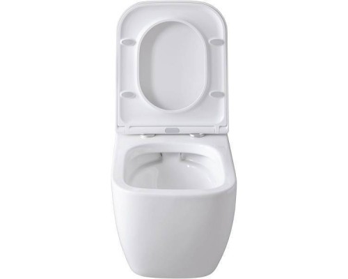 Allen Brau Infinity Унитаз подвесной, безободковый, 36x51x35h см, цвет: белый 4.21004.20