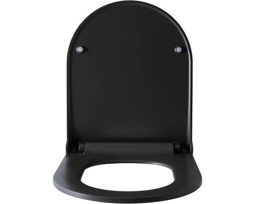 Allen Brau Priority Крышка-сиденье для унитаза 36x44x4,5h см, цвет: черный 4.31004.AN