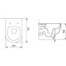 Allen Brau Priority Унитаз подвесной 36x54,5x33h см, цвет: черный 4.31001.31