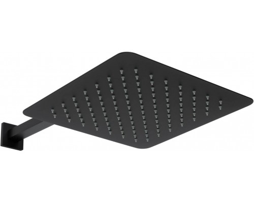 Allen Brau Infinity Верхний душ 30x30 см, цвет: черный 5.21A19-31