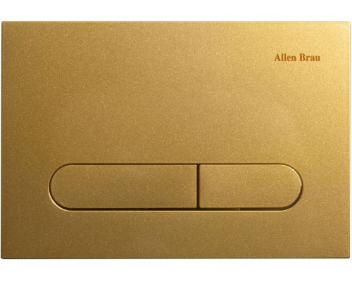 Allen Brau Project Color Клавиша смыва 23,1x15,7h см, цвет: золотой 9.2PR01.GD