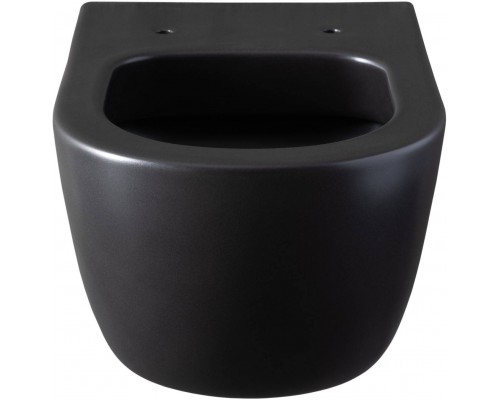 Allen Brau Priority Унитаз подвесной 36x54,5x33h см, цвет: черный 4.31001.31 Allen Brau Priority Унитаз подвесной 36x54,5x33h см, цвет: черный 4.31001.31