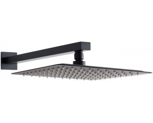 Allen Brau Infinity Верхний душ 30x30 см, цвет: черный 5.21A19-31