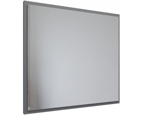 Allen Brau Activity Зеркало подвесное прямоугольное с подсветкой 80x75 см, цвет: платина 1.340027.PGM