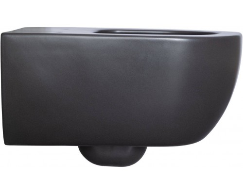 Allen Brau Priority Унитаз подвесной 36x54,5x33h см, цвет: черный 4.31001.31 Allen Brau Priority Унитаз подвесной 36x54,5x33h см, цвет: черный 4.31001.31