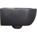 Allen Brau Priority Унитаз подвесной 36x54,5x33h см, цвет: черный 4.31001.31