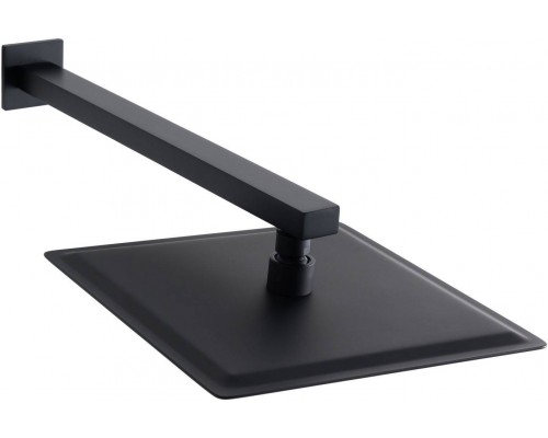 Allen Brau Infinity Верхний душ 30x30 см, цвет: черный 5.21A19-31
