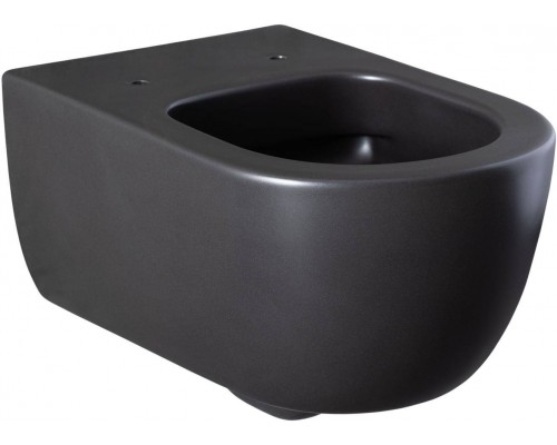Allen Brau Priority Унитаз подвесной 36x54,5x33h см, цвет: черный 4.31001.31 Allen Brau Priority Унитаз подвесной 36x54,5x33h см, цвет: черный 4.31001.31