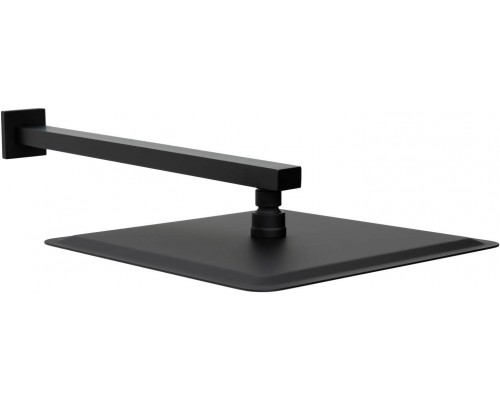 Allen Brau Infinity Верхний душ 30x30 см, цвет: черный 5.21A19-31