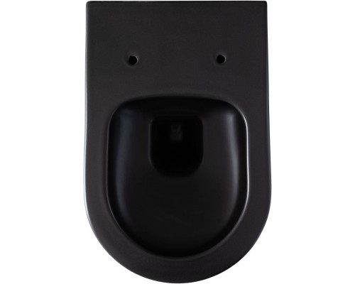 Allen Brau Priority Унитаз подвесной 36x54,5x33h см, цвет: черный 4.31001.31 Allen Brau Priority Унитаз подвесной 36x54,5x33h см, цвет: черный 4.31001.31