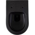 Allen Brau Priority Унитаз подвесной 36x54,5x33h см, цвет: черный 4.31001.31