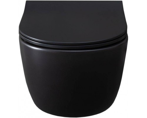 Allen Brau Priority Унитаз подвесной 36x54,5x33h см, цвет: черный 4.31001.31 Allen Brau Priority Унитаз подвесной 36x54,5x33h см, цвет: черный 4.31001.31