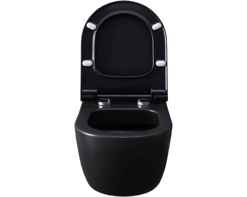 Allen Brau Priority Унитаз подвесной 36x54,5x33h см, цвет: черный 4.31001.31 Allen Brau Priority Унитаз подвесной 36x54,5x33h см, цвет: черный 4.31001.31