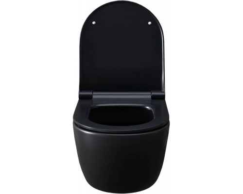 Allen Brau Priority Унитаз подвесной 36x54,5x33h см, цвет: черный 4.31001.31 Allen Brau Priority Унитаз подвесной 36x54,5x33h см, цвет: черный 4.31001.31