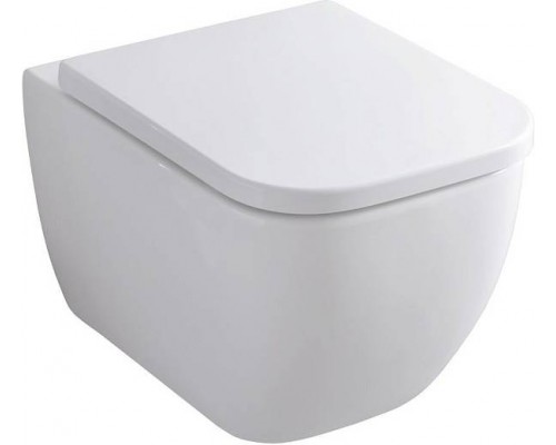 Allen Brau Infinity Унитаз подвесной, безободковый, 36x51x35h см, цвет: белый 4.21004.20