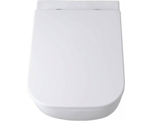 Allen Brau Infinity Унитаз подвесной, безободковый, 36x51x35h см, цвет: белый 4.21004.20