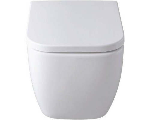 Allen Brau Infinity Унитаз подвесной, безободковый, 36x51x35h см, цвет: белый 4.21004.20