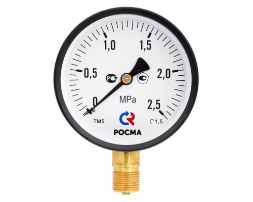 Манометр Росма ТМ-510Р.00 радиальный Дк100мм 0-0,6 МПа кл.1,5 G1/2" 00000006832