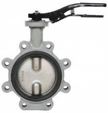Затвор дисковый Giacomini поворотный с проушинами DN350, R59FLX035
