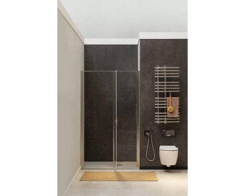 Allen Brau Priority Душевая дверь 120 см, цвет: серебро браш 3.31008.BA