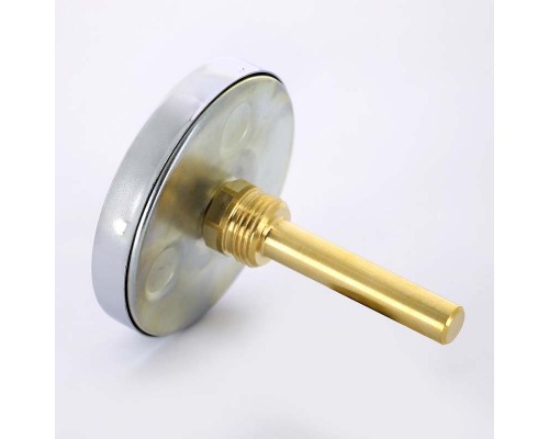 Термометр биметаллический F+R801 WATTS Ind 80мм 120°C гильза 75мм