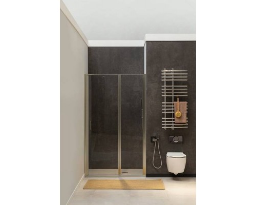 Allen Brau Priority Душевая дверь 120 см, цвет: серебро браш 3.31008.BA