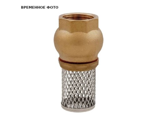 Клапан обратный 1/2" пружинный погружной с литым фильтром