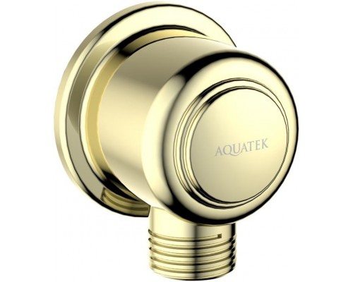 AQ2461PG КЛАССИК шланговое подсоединение, полир. золото AQ2461PG