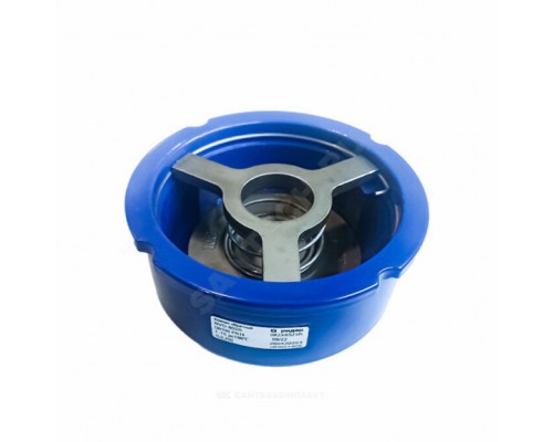 Клапан обр чуг пруж NVD-802R Ду150 Ру16 м/фл д/ст Ридан 082X8527R