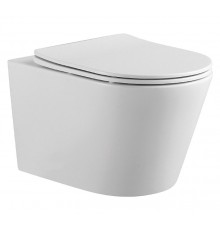 AQ1905-00 ВЕГА Унитаз подвесной безободковый 525360320мм, тонкое сиденье с механизмом плавного закрывания, крепеж AQ1905-00