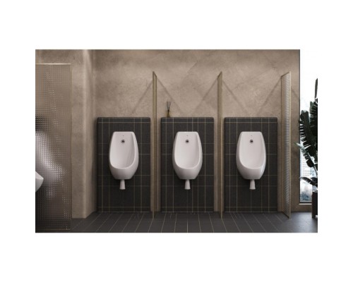 ZRU9310181 ACCESS писсуар с ИК сенсором задний подвод воды ZRU9310181