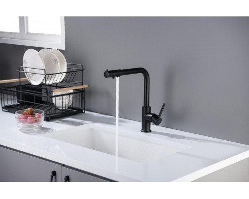 AQ1386MB ЕВРОПА смеситель для кухни с подключением к фильтру питьевой воды, матовый черный AQ1386MB