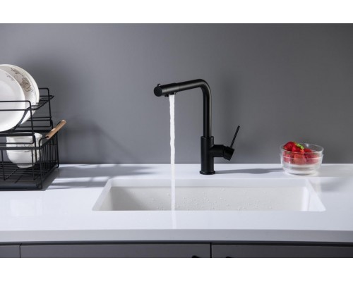 AQ1386MB ЕВРОПА смеситель для кухни с подключением к фильтру питьевой воды, матовый черный AQ1386MB