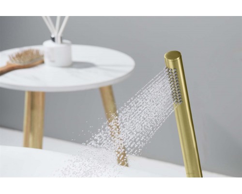 AQ2002BG ЕВРОПА ручной душ 1jet, шлиф. золото AQ2002BG