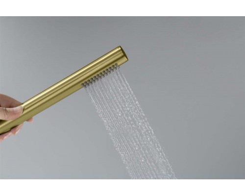 AQ2002BG ЕВРОПА ручной душ 1jet, шлиф. золото AQ2002BG