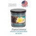 Декоративная свеча Village Candle Тропический остров (213 грамм)