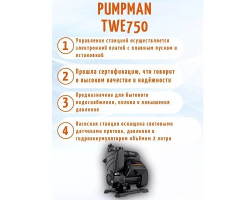 Насосная станция Pumpman TWE 750 с электронным управлением