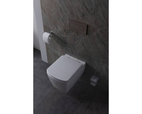 Allen Brau Liberty Чаша подвесного унитаза, цвет: белый 4.33004.20