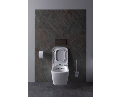 Allen Brau Liberty Чаша подвесного унитаза, цвет: белый 4.33004.20